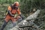 Husqvarna 550 XP G Mark II 15" 2020 – Bild 4