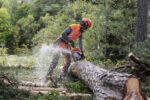 Husqvarna 550 XP G Mark II 15" 2020 – Bild 5
